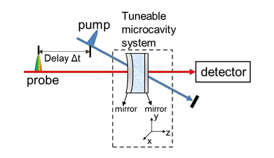 Schematic of the experimental setup.